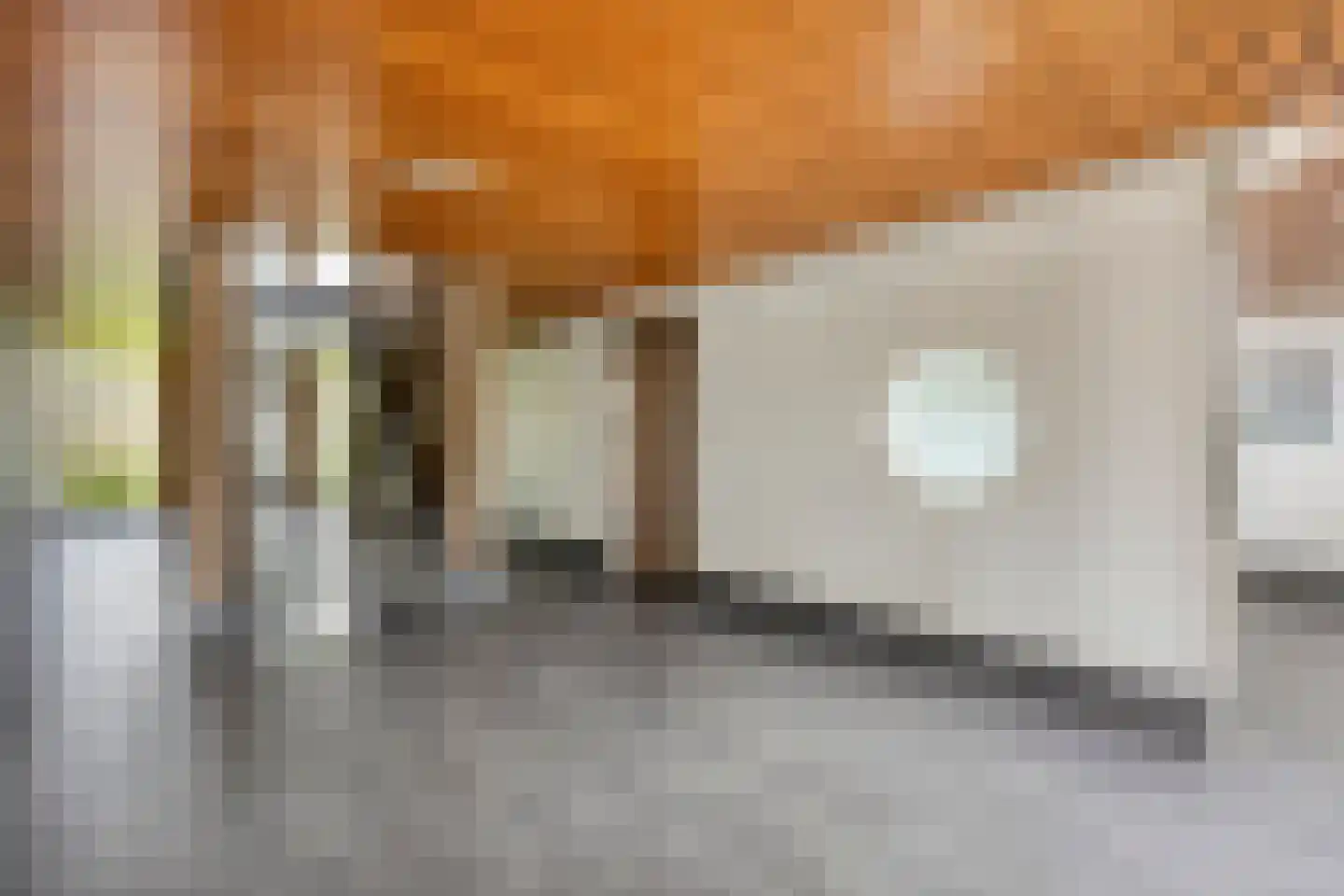 Cort van der Lindenlaan 24 Pijnacker thumbnail 10