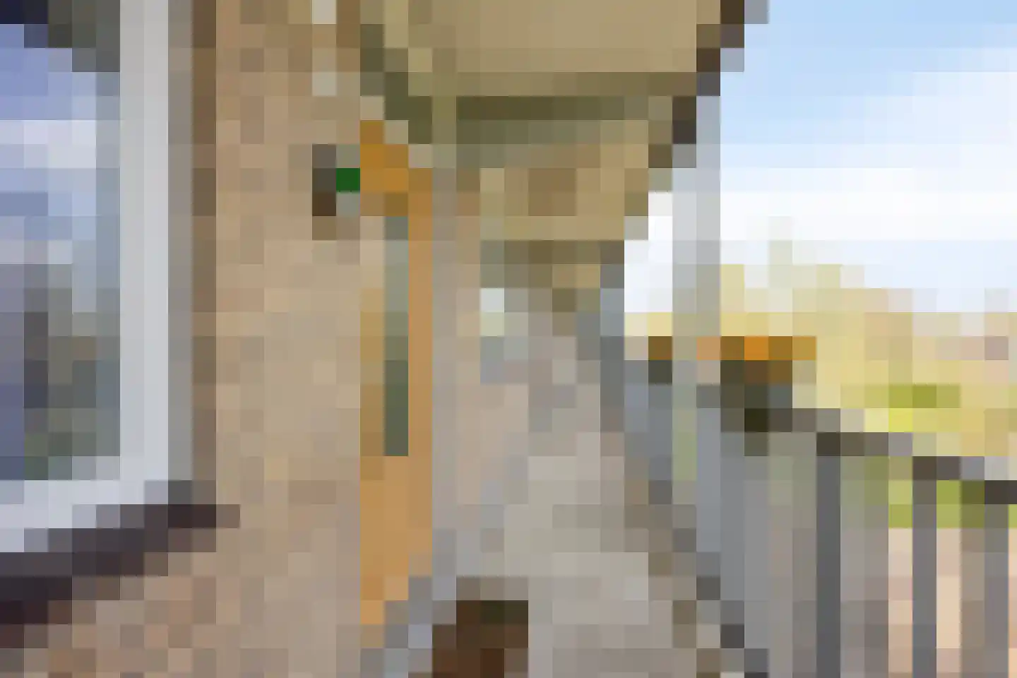 Cort van der Lindenlaan 24 Pijnacker thumbnail 11