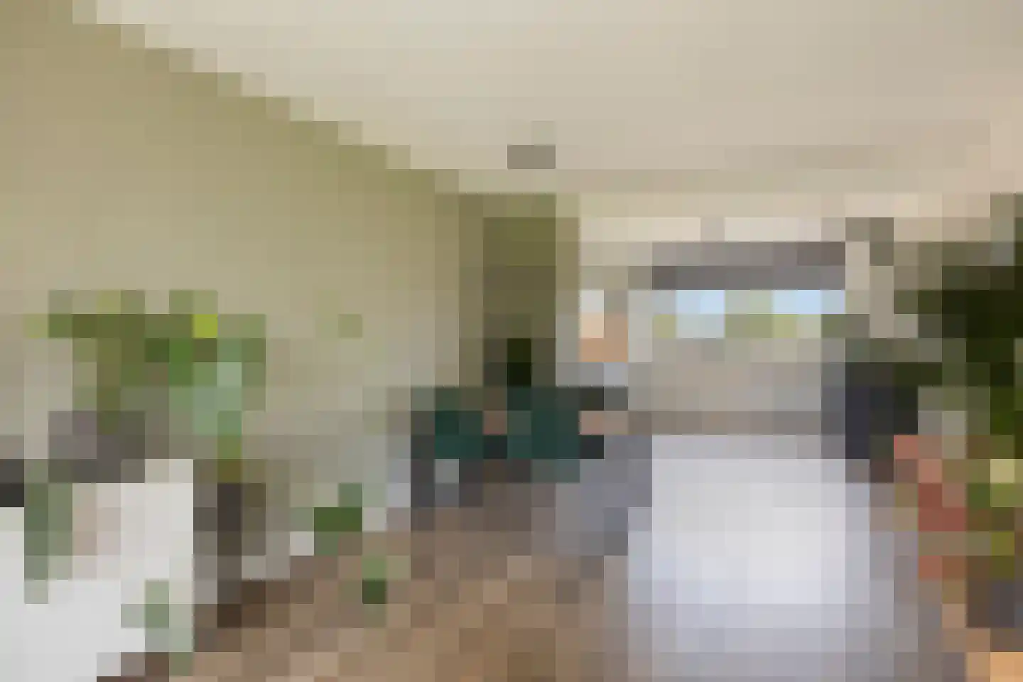 Cort van der Lindenlaan 24 Pijnacker thumbnail 17