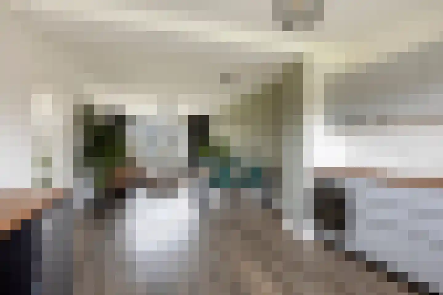 Cort van der Lindenlaan 24 Pijnacker thumbnail 21