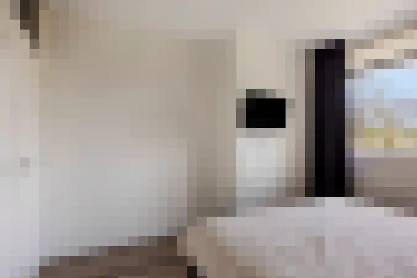 Cort van der Lindenlaan 24 Pijnacker thumbnail 23