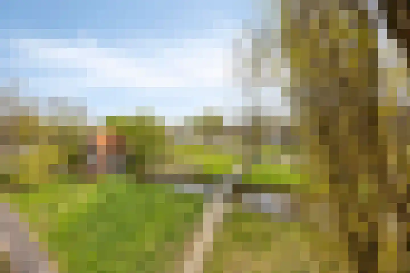 Cort van der Lindenlaan 24 Pijnacker thumbnail 34