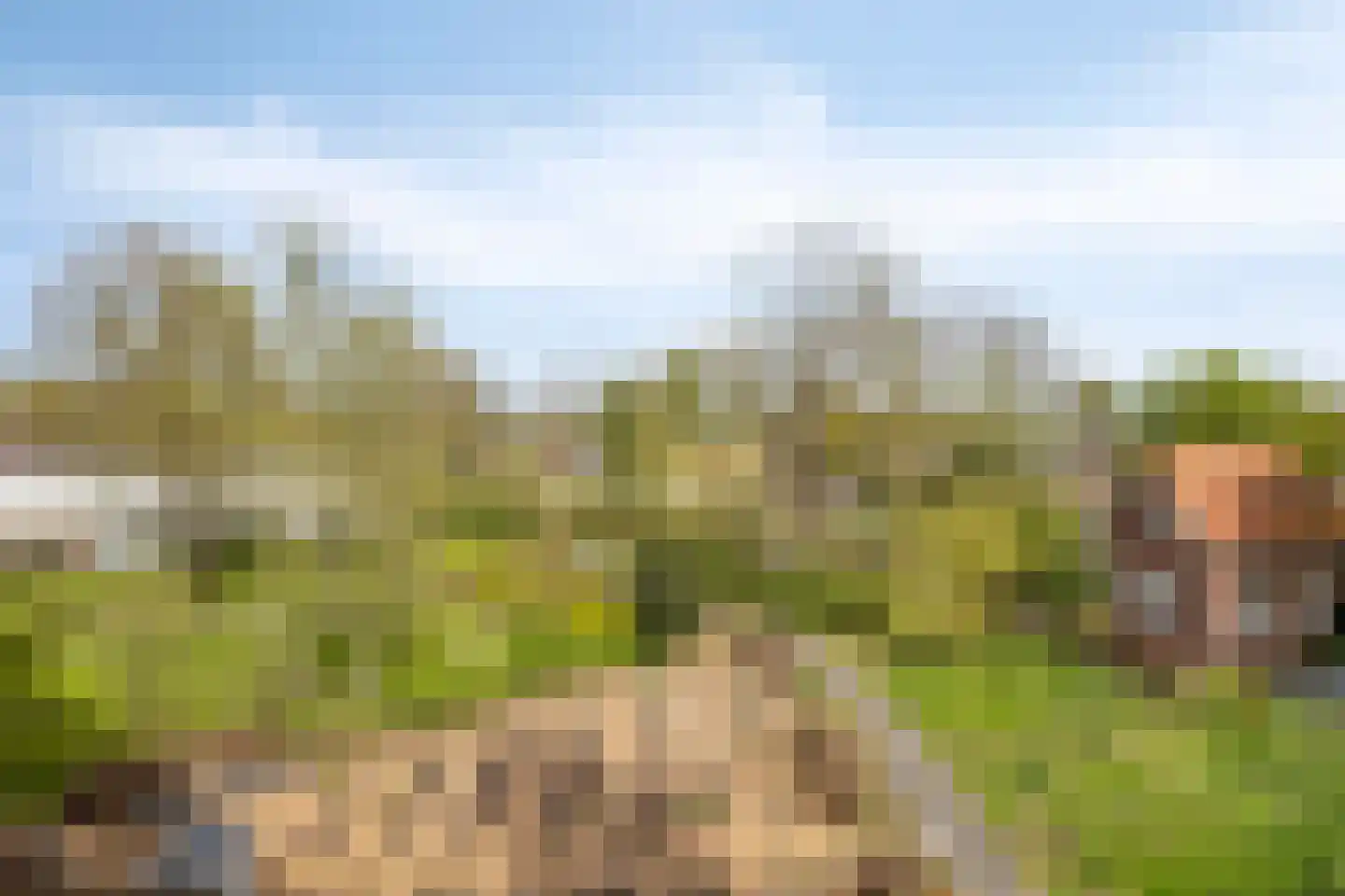Cort van der Lindenlaan 24 Pijnacker thumbnail 36