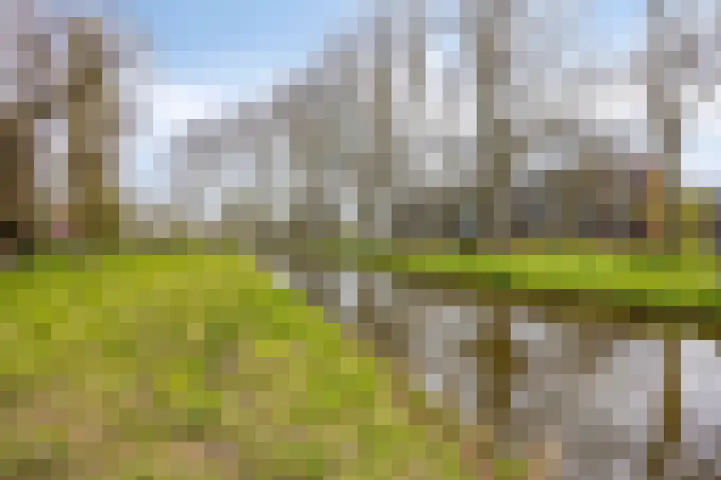 Cort van der Lindenlaan 24 Pijnacker thumbnail 38