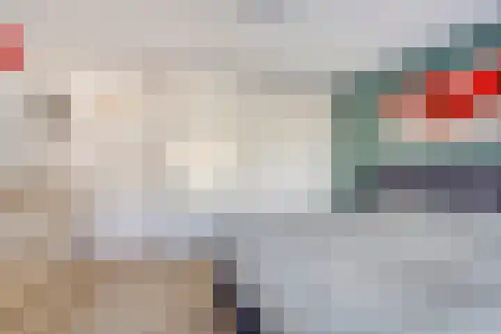 Cort van der Lindenlaan 28 Sliedrecht thumbnail 13