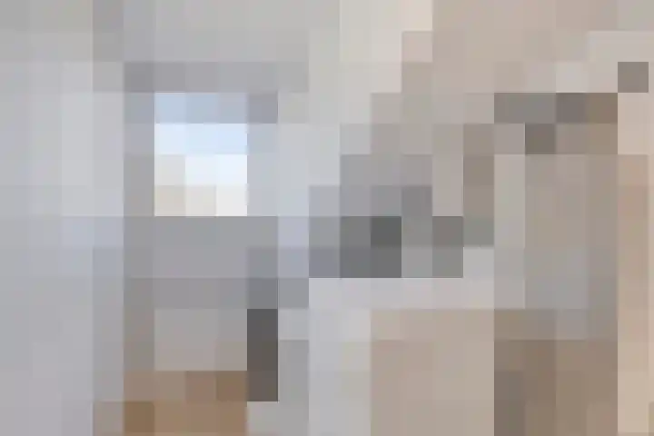 Cort van der Lindenlaan 28 Sliedrecht thumbnail 20