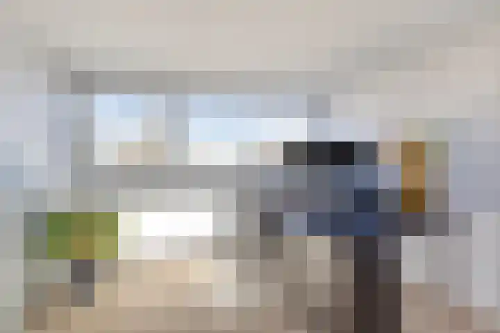 Cort van der Lindenlaan 28 Sliedrecht thumbnail 21