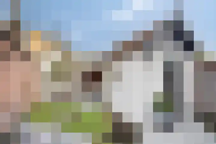 Cort van der Lindenlaan 28 Sliedrecht thumbnail 23
