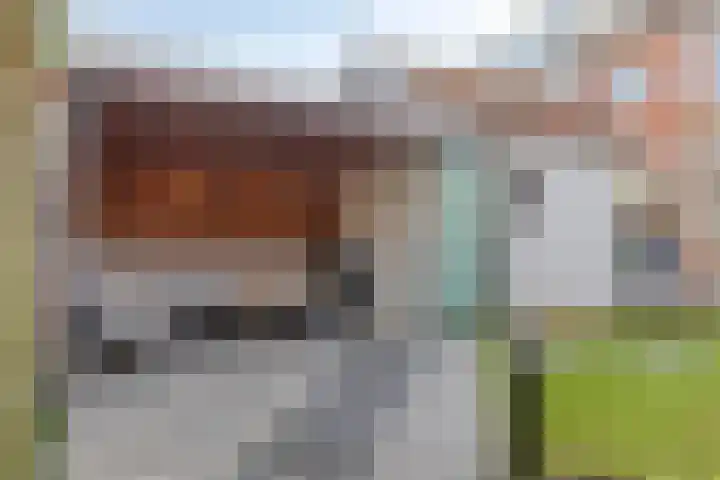 Cort van der Lindenlaan 28 Sliedrecht thumbnail 25