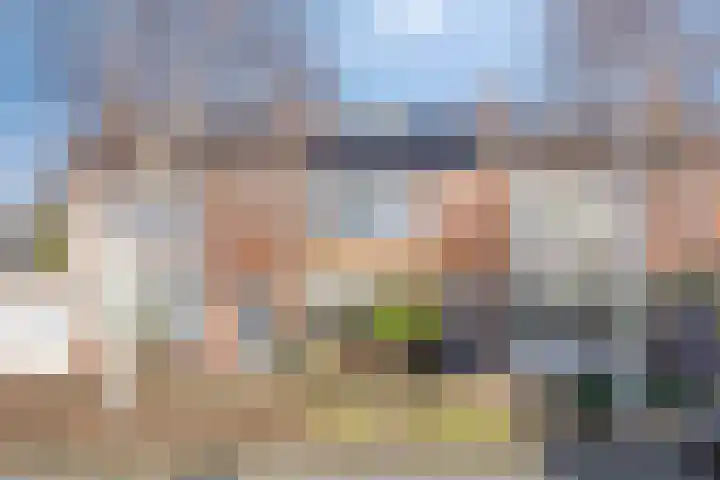 Cort van der Lindenlaan 28 Sliedrecht thumbnail 27