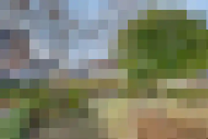 Cort van der Lindenlaan 28 Sliedrecht thumbnail 30