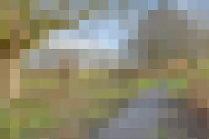 Cort van der Lindenlaan 28 Sliedrecht thumbnail 31