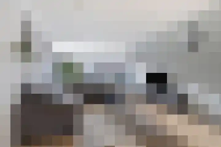 Cort van der Lindenlaan 28 Sliedrecht thumbnail 4