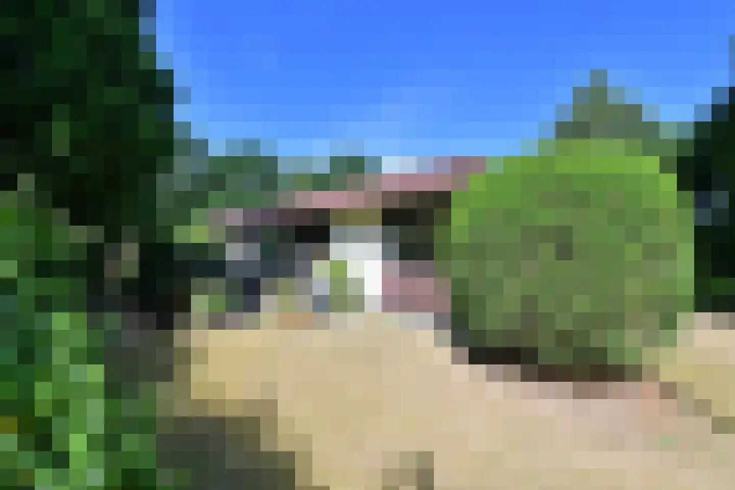 Cort van der Lindenlaan 29 Naarden thumbnail 15