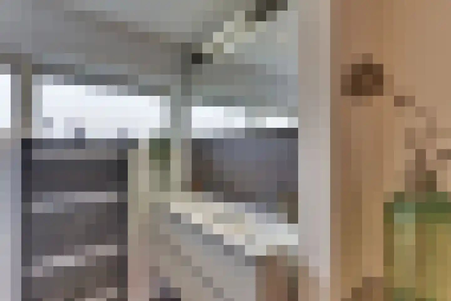Cort van der Lindenlaan 30 Harderwijk thumbnail 42