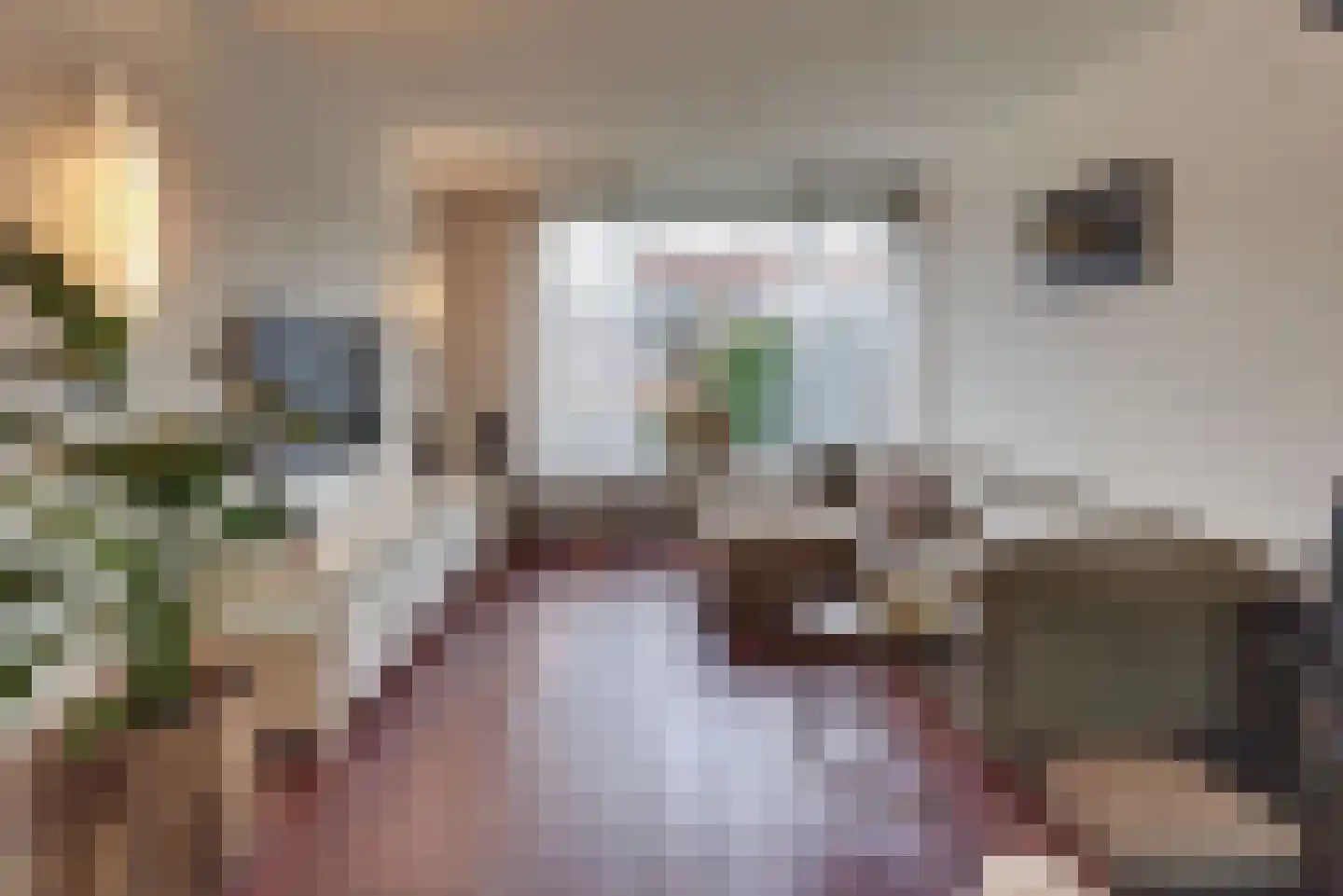 Cort van der Lindenlaan 30 Harderwijk thumbnail 9