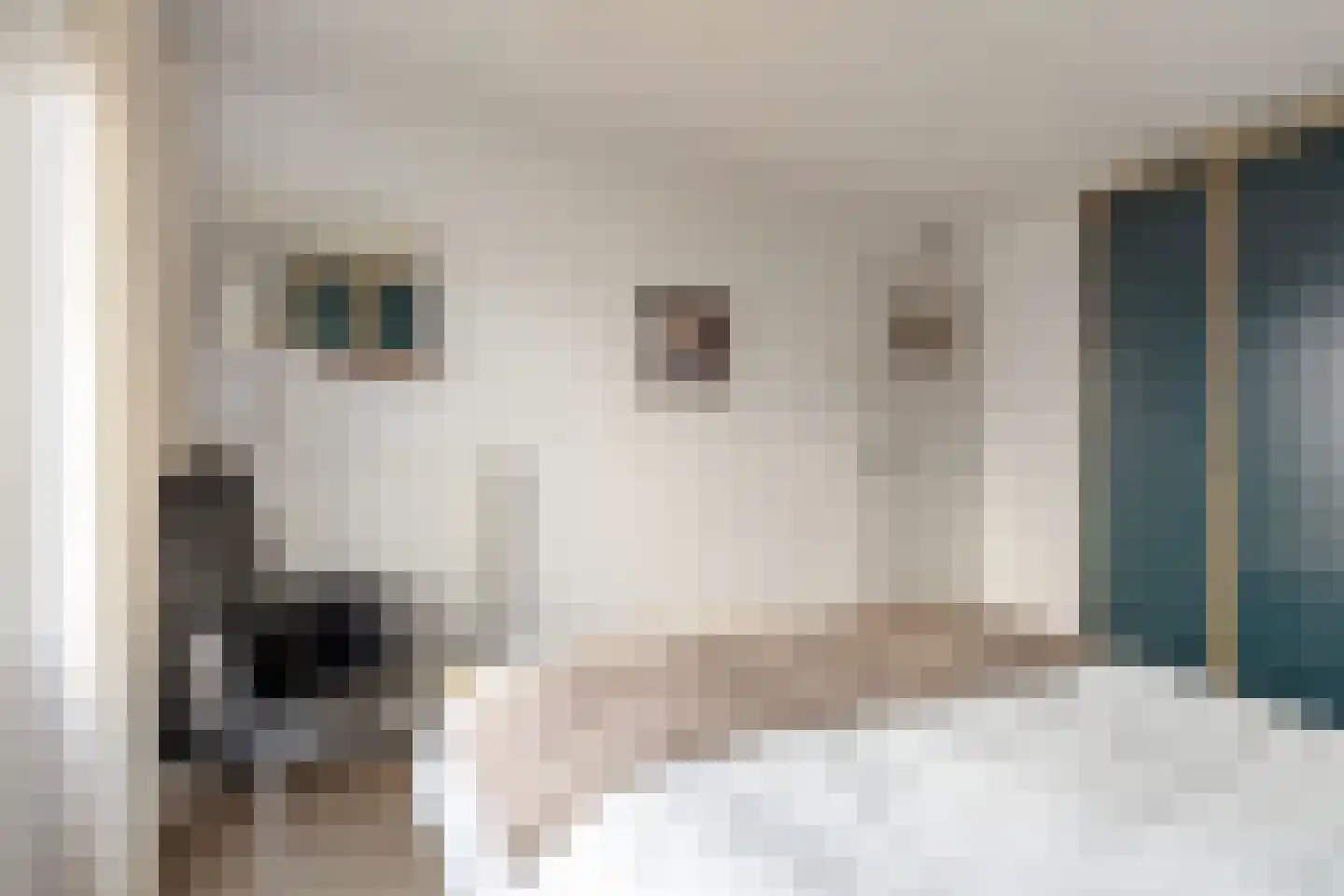 Cort van der Lindenlaan 31 Harderwijk thumbnail 16