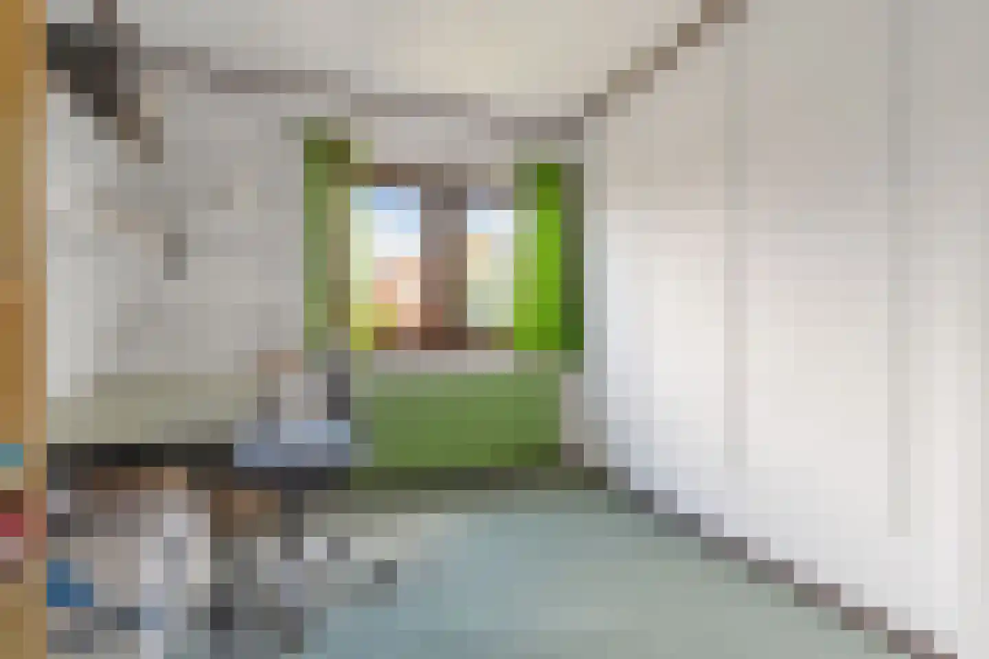 Cort van der Lindenlaan 31 Harderwijk thumbnail 19
