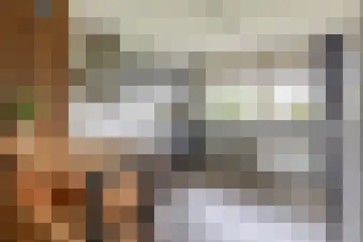 Cort van der Lindenlaan 32 Pijnacker thumbnail 10