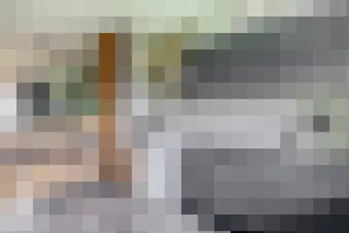Cort van der Lindenlaan 32 Pijnacker thumbnail 11