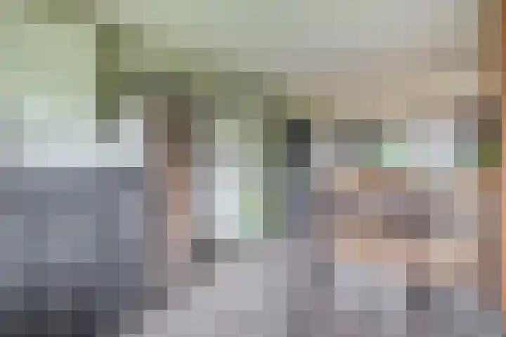 Cort van der Lindenlaan 32 Pijnacker thumbnail 12