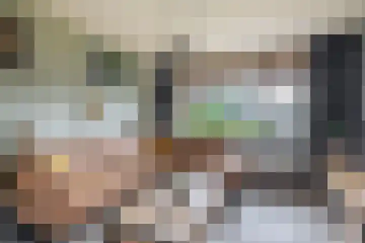 Cort van der Lindenlaan 32 Pijnacker thumbnail 18