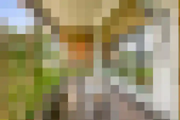 Cort van der Lindenlaan 32 Pijnacker thumbnail 19