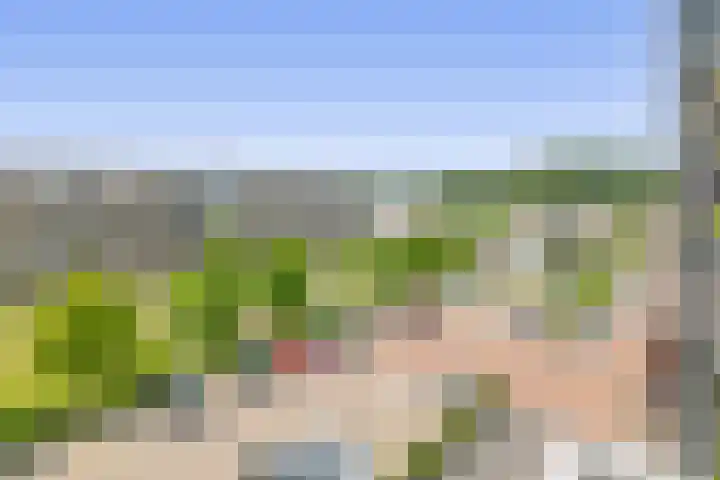 Cort van der Lindenlaan 32 Pijnacker thumbnail 22