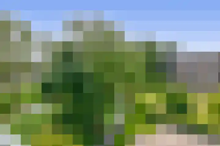 Cort van der Lindenlaan 32 Pijnacker thumbnail 23