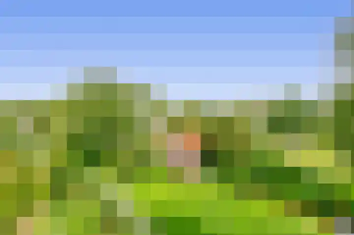Cort van der Lindenlaan 32 Pijnacker thumbnail 31
