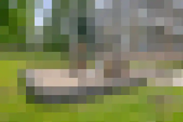 Cort van der Lindenlaan 32 Pijnacker thumbnail 32