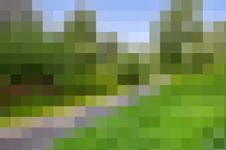 Cort van der Lindenlaan 32 Pijnacker thumbnail 33