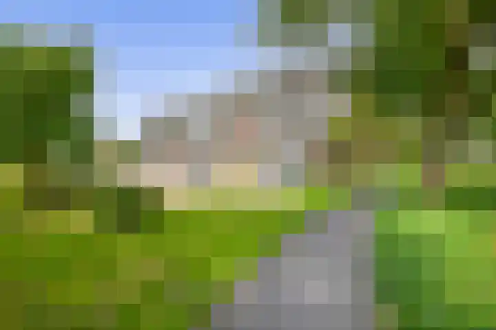 Cort van der Lindenlaan 32 Pijnacker thumbnail 34