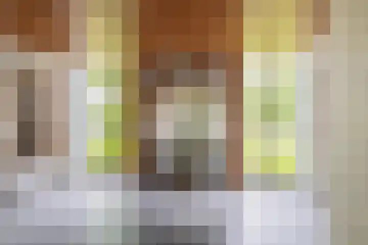 Cort van der Lindenlaan 32 Pijnacker thumbnail 40