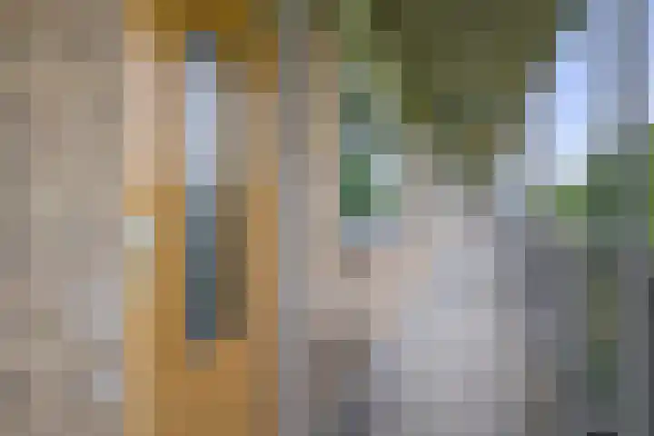 Cort van der Lindenlaan 32 Pijnacker thumbnail 6