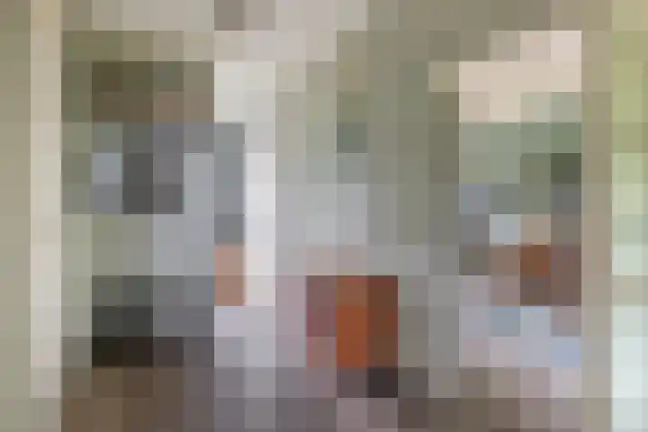 Cort van der Lindenlaan 32 Pijnacker thumbnail 8