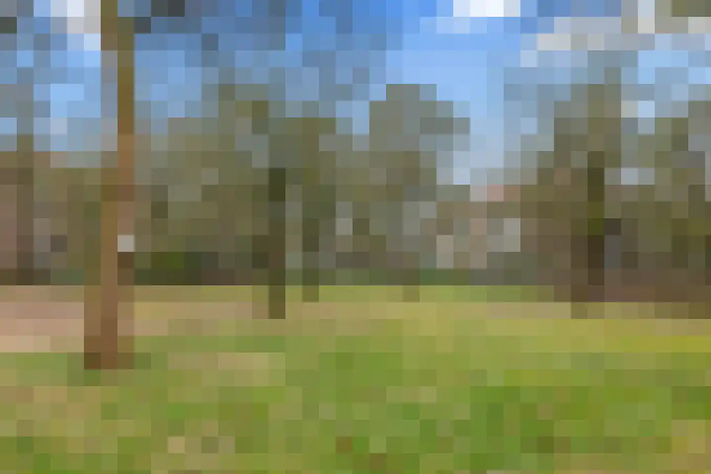 Cort van der Lindenlaan 34 B Amersfoort thumbnail 58