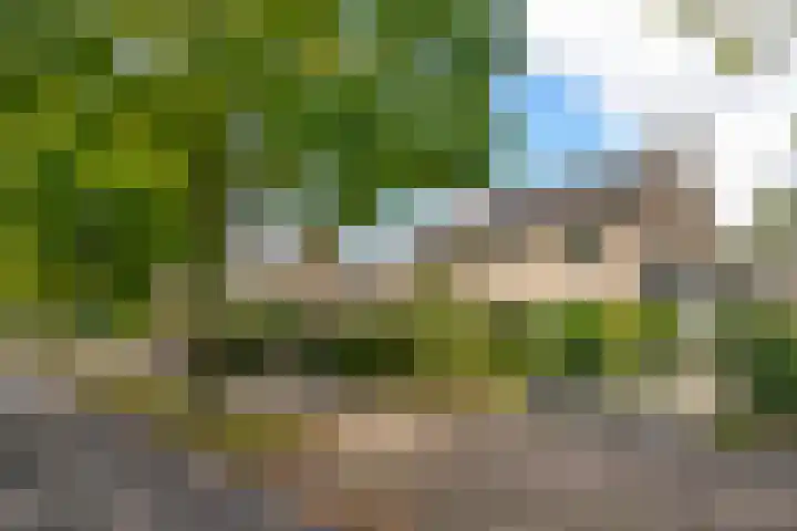 Cort van der Lindenlaan 41 Naarden thumbnail 25