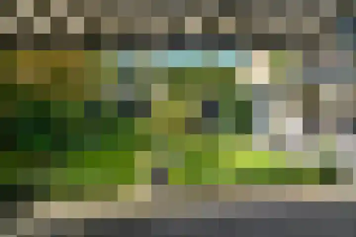 Cort van der Lindenlaan 41 Naarden thumbnail 27