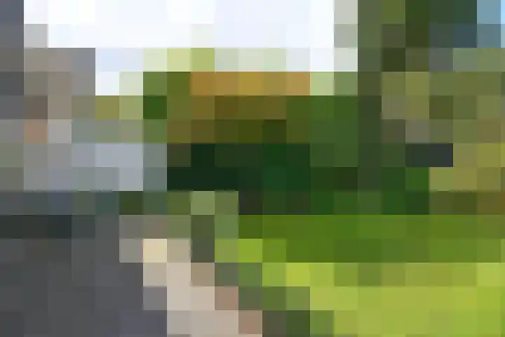 Cort van der Lindenlaan 41 Naarden thumbnail 28
