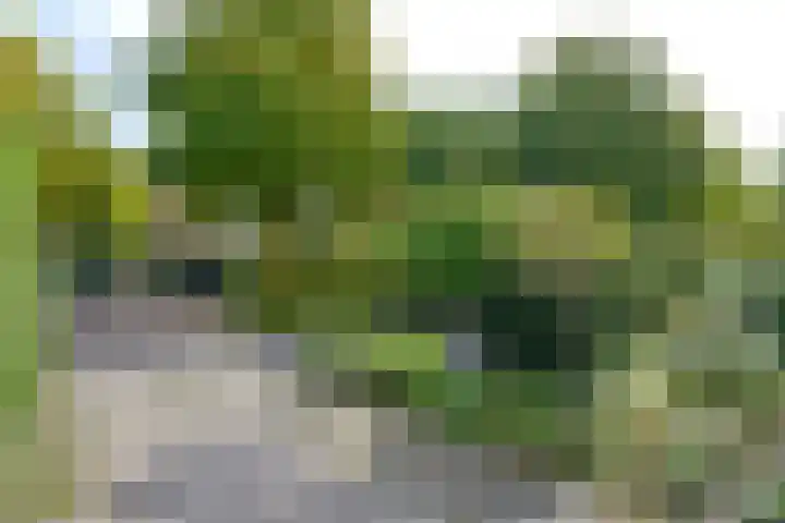 Cort van der Lindenlaan 41 Naarden thumbnail 29