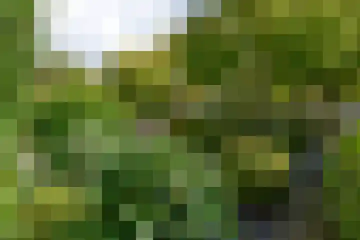 Cort van der Lindenlaan 41 Naarden thumbnail 30