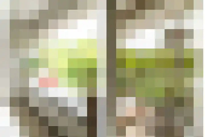 Cort van der Lindenlaan 46 C Amersfoort thumbnail 14