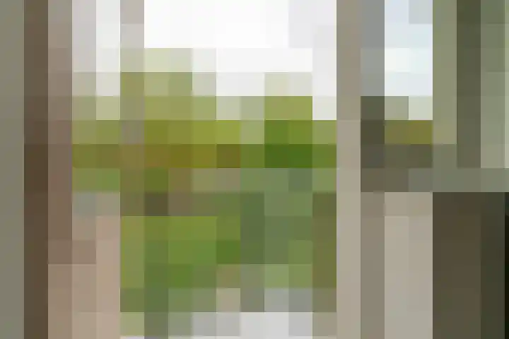 Cort van der Lindenlaan 46 C Amersfoort thumbnail 30