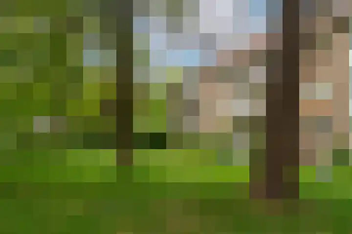 Cort van der Lindenlaan 46 C Amersfoort thumbnail 46