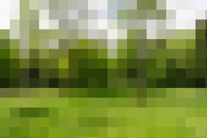 Cort van der Lindenlaan 46 C Amersfoort thumbnail 48