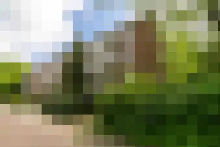 Cort van der Lindenlaan 46 C Amersfoort thumbnail 5