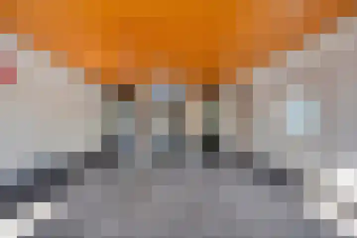 Cort van der Lindenlaan 5 Pijnacker thumbnail 11