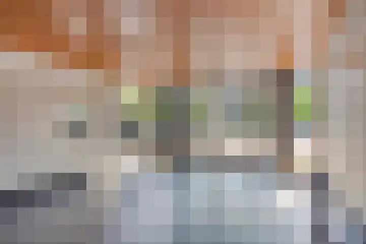 Cort van der Lindenlaan 5 Pijnacker thumbnail 12