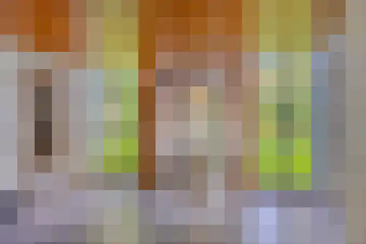 Cort van der Lindenlaan 5 Pijnacker thumbnail 13